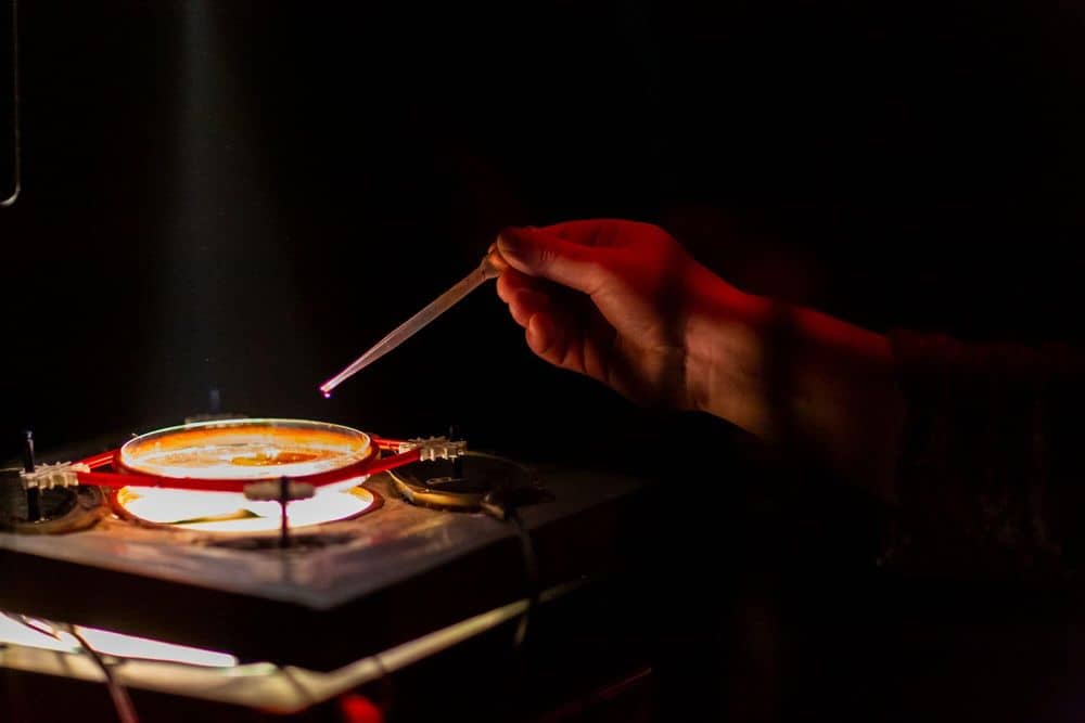 Pochen | Symposium | 2019 - 11